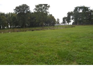 Pond in Dekalb County, Indiana - MAJOR LAND AUCTION - 516+/- ACRES OFFERED IN 18 TRACTS OR COMBINATIONS IN DEKALB COUNTY, INDIANA